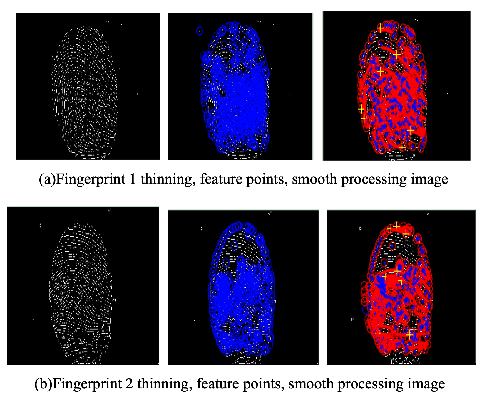 Research on Fingerprint Recognition Algorithm Research Image